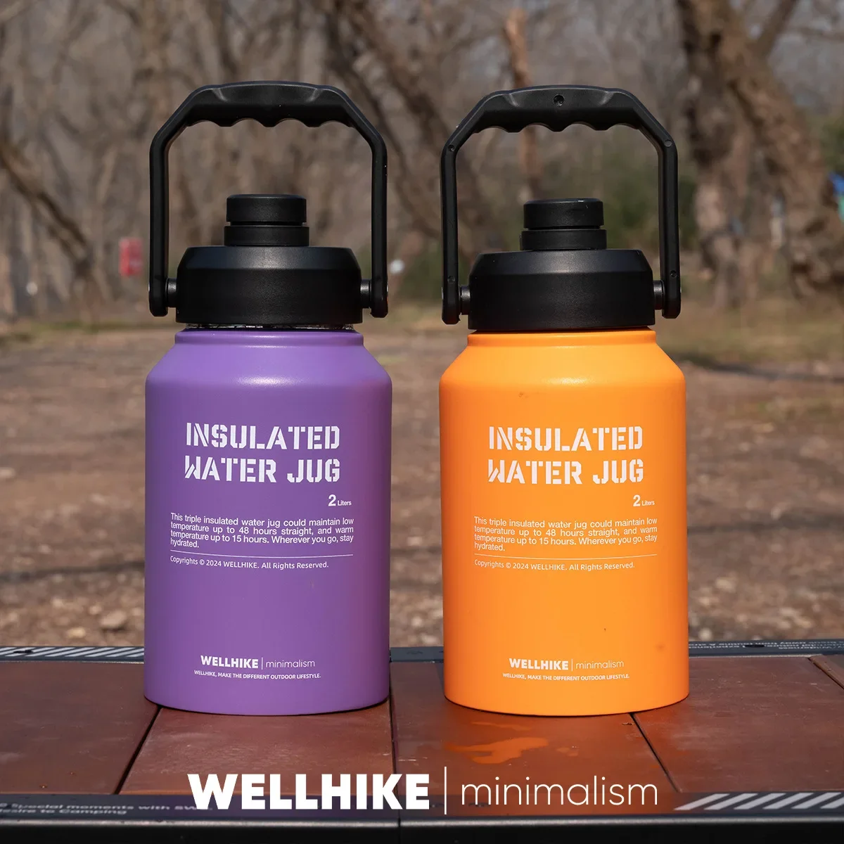 

2026 2L Insulated Stainless Steel Water Bottle with Handle for Gym & Outdoor Sports, Hot & Cold Drinks