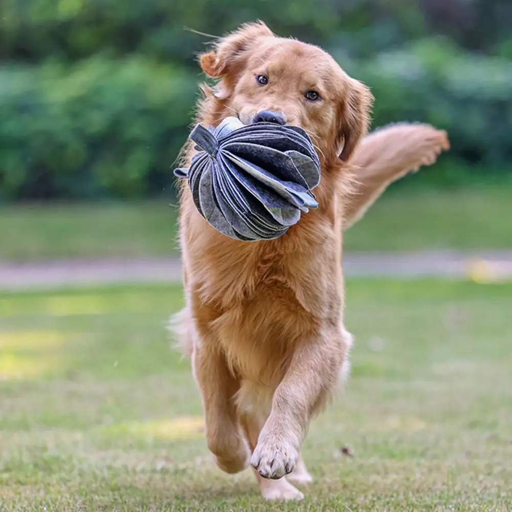 Sniffing Pad Ball Anti Slip Dog Snuffle Ball Training Sniffing Pad Treinamento Bolas Pet Products