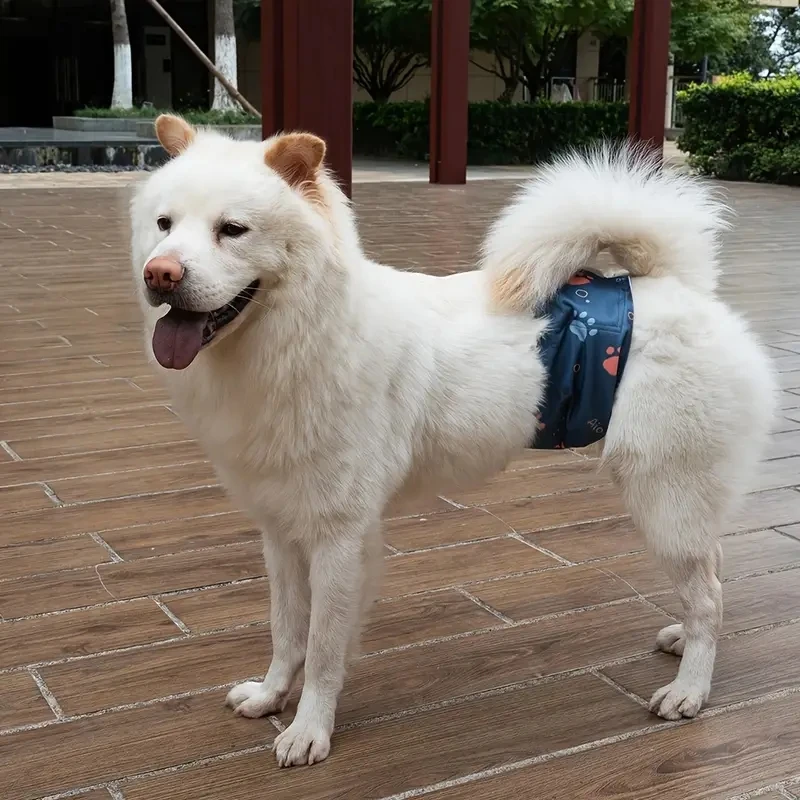 Washable Male Dog Diaper Pet Sanitary Panties Reusable Nappy Belly Band Wrap Diapers Leak Proof Pee Pant for Dogs view 2