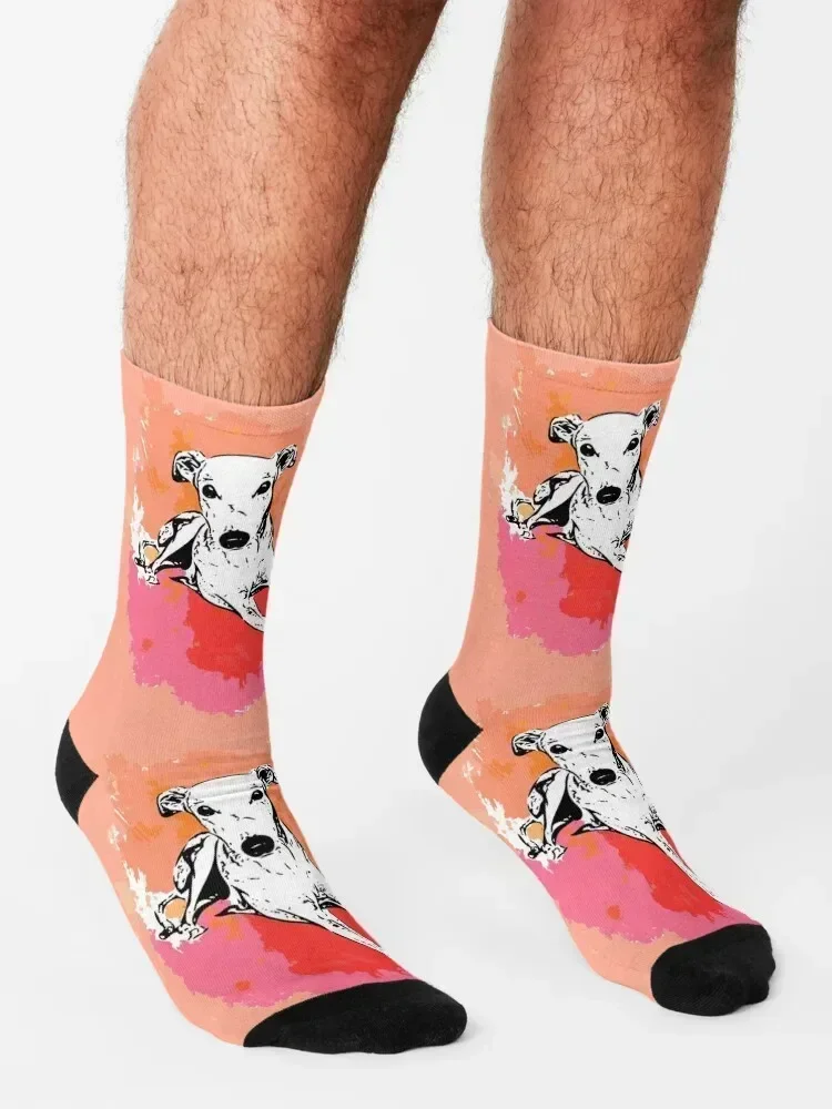 Greyhound watercolour sketch Socks loose Antiskid soccer soccer anti-slip Rugby Women's Socks Men's