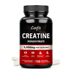 Catfit Creatine Monohydrate Capsules Improve Energy Endurance Recognition Muscle Strength Growth & Repair Whey Protein for Gym