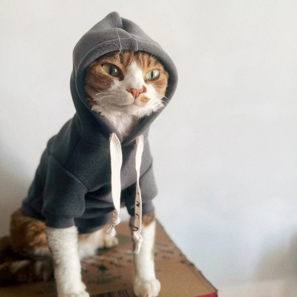 Cat Clothes Winter Warm Fleece hooded Sweatshirt for Sphynx thick Cartoon Costume for Kittens Dogs Soft Grey Coat for female Cat