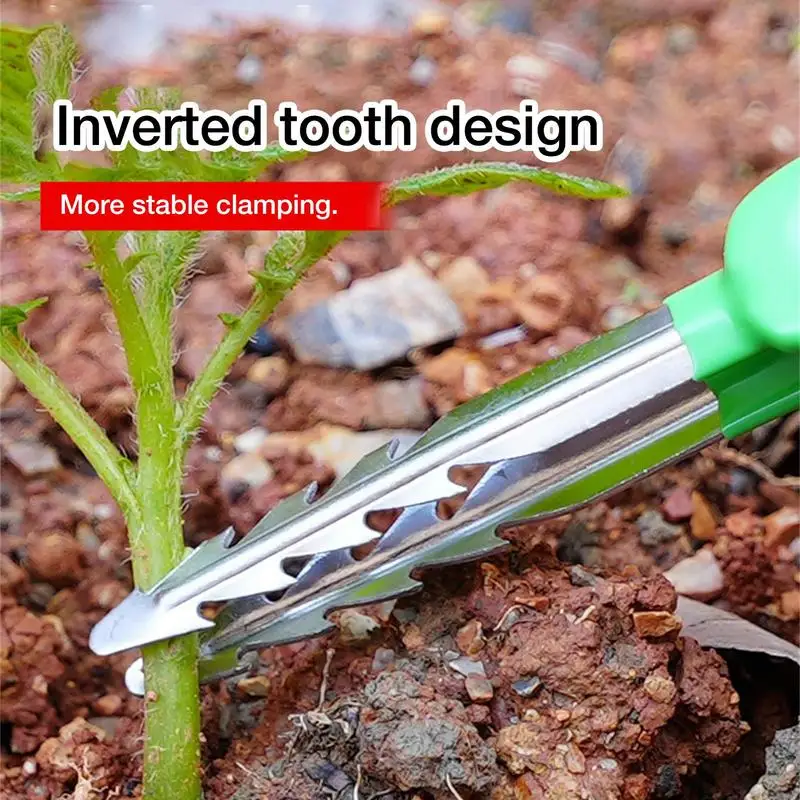 Gardening Tweezer Multifunction Curved Serrated Precision Tweezers Bonsai Succulents Plants Pruning Weeding Tweezer Garden Tools