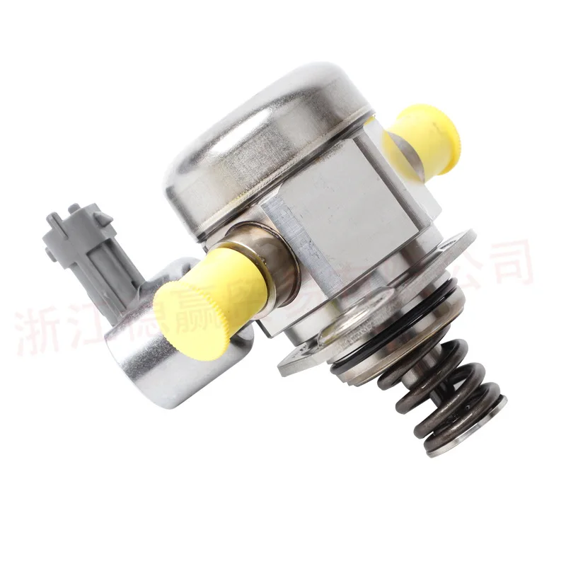 12589448 12614737 12625764 12629135 High pressure fuel pump suitable for Buick/Opel