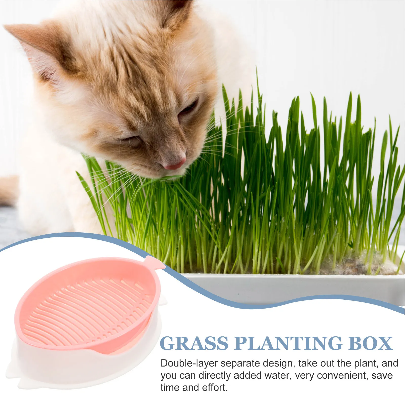 3Pcs Cat Grass Planting Box Hydroponic Soiless Catnip Planter Tray Easy Use Plastic for Pets Cat Grass Planter