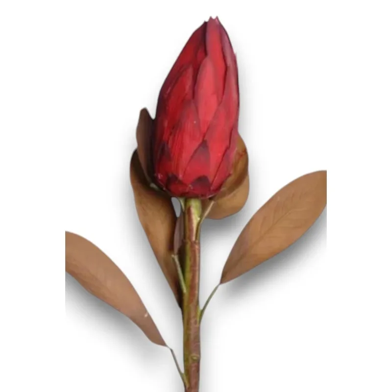 Lotus Protea 86 cm Bordeaux Flores Frescas Corte