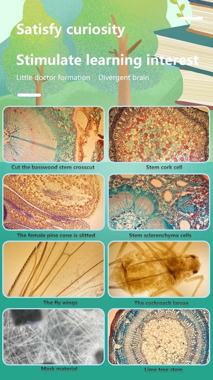 400x Telefonobjektiv Iphone Mikroskopobjektiv Tragbares Smartphone Lentes für iPhone 16 15 14 Pro Max Microworld für Kinder Erwachsene