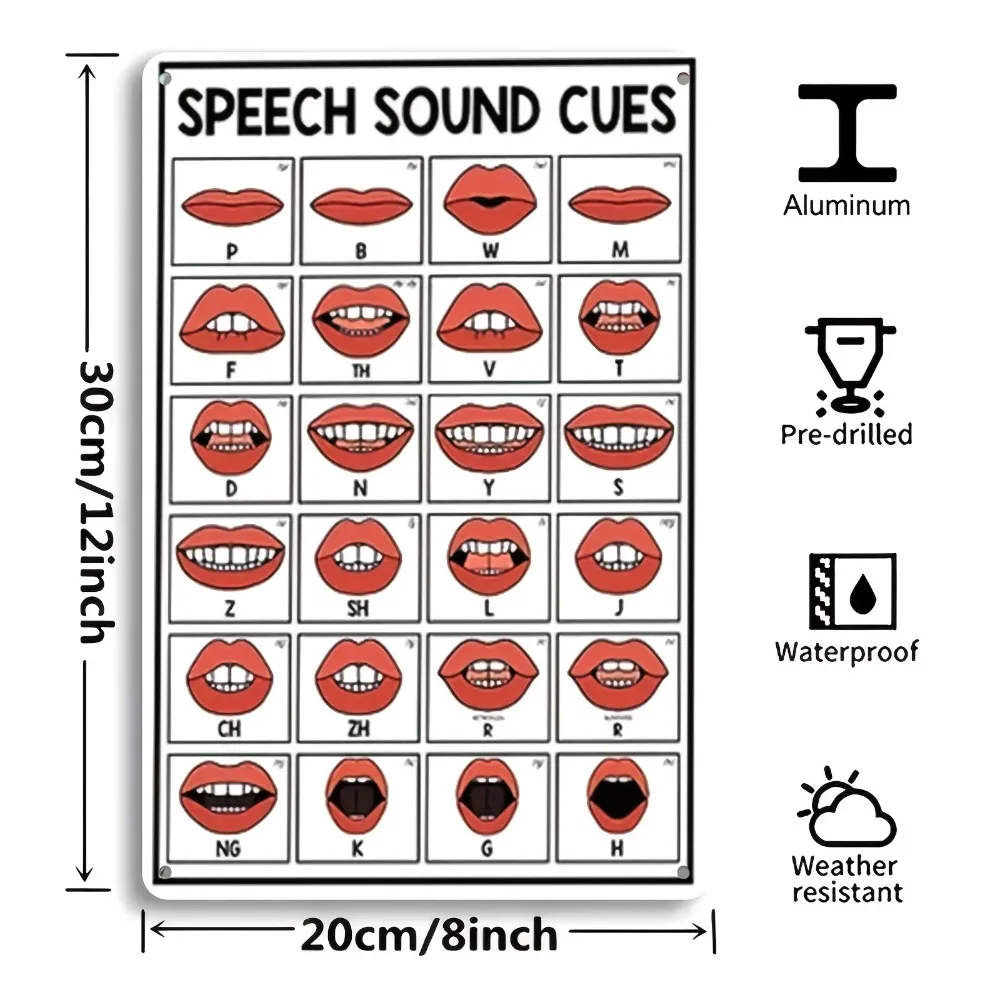 Aluminum Iron Art Panel 24 English Phonetics IPA Chart Durable Wall Decor Educational Poster Home Office Classroom