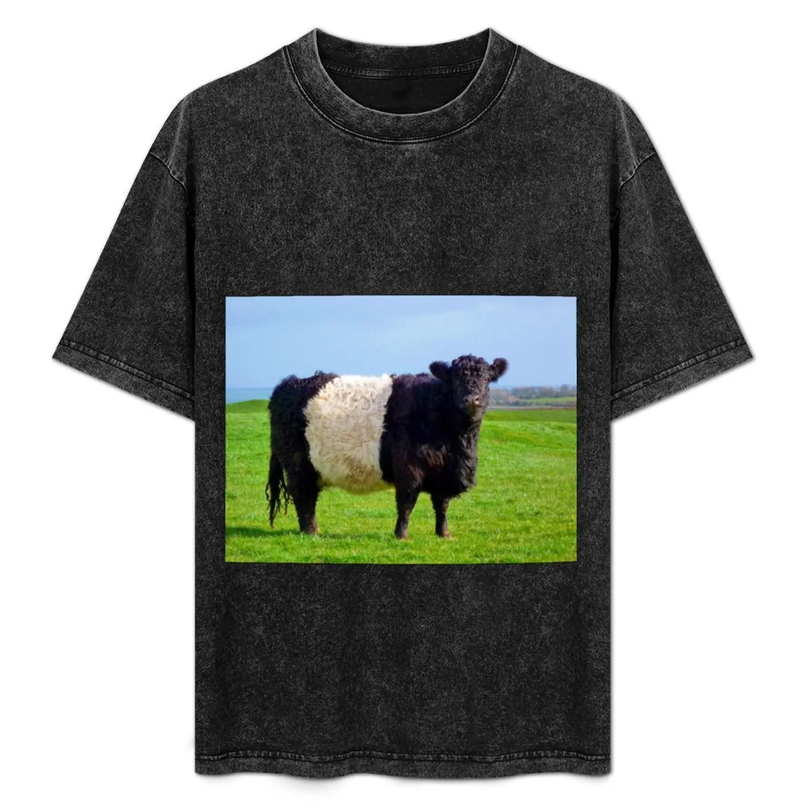 Belted Galloway Bull T-Shirt tops blanks anime stuff men clothes