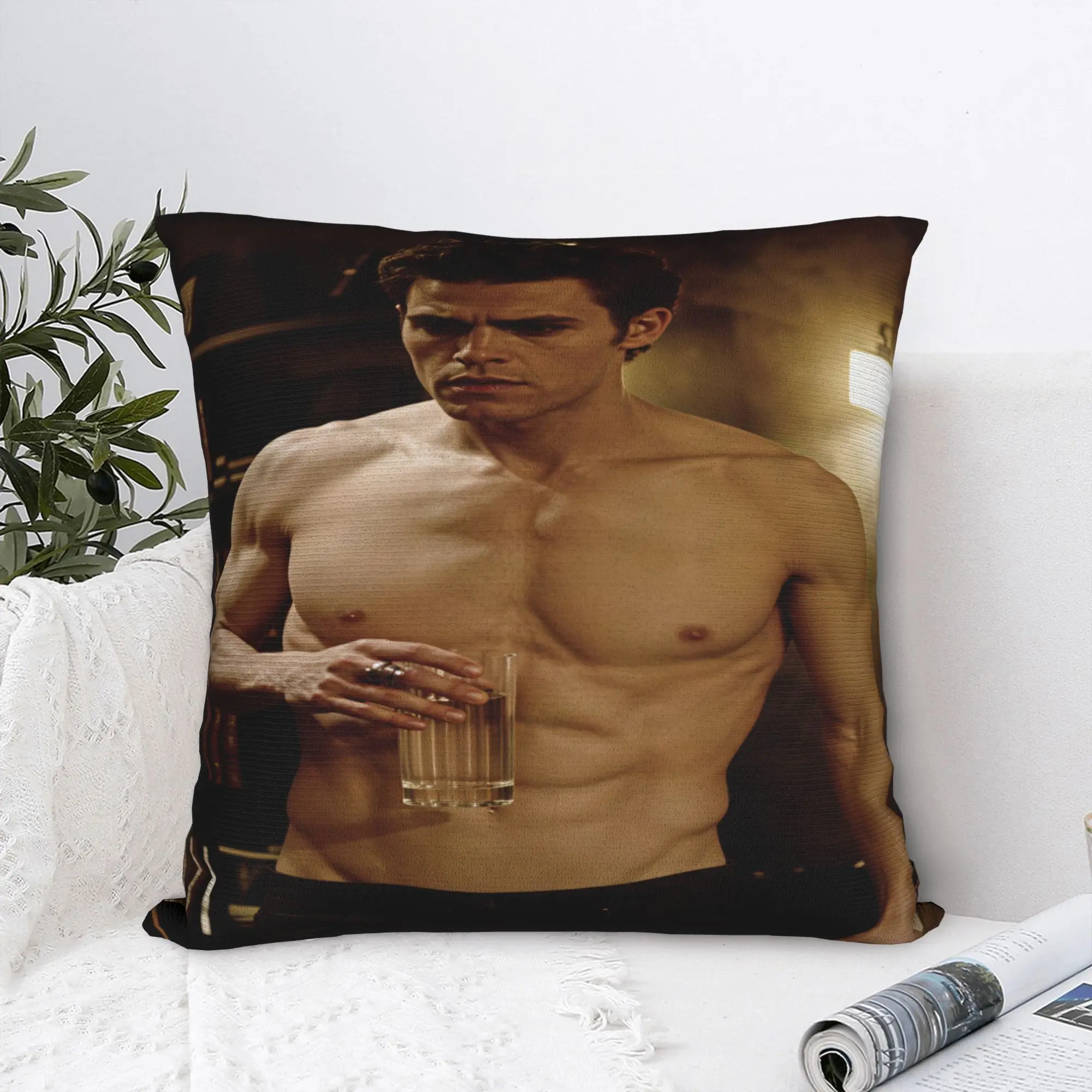 Vampire Diaries Damon Klaus  Pillowcases  Morden Pillow Case For Couch Sofa Bedroom Comfy Pillow Cover