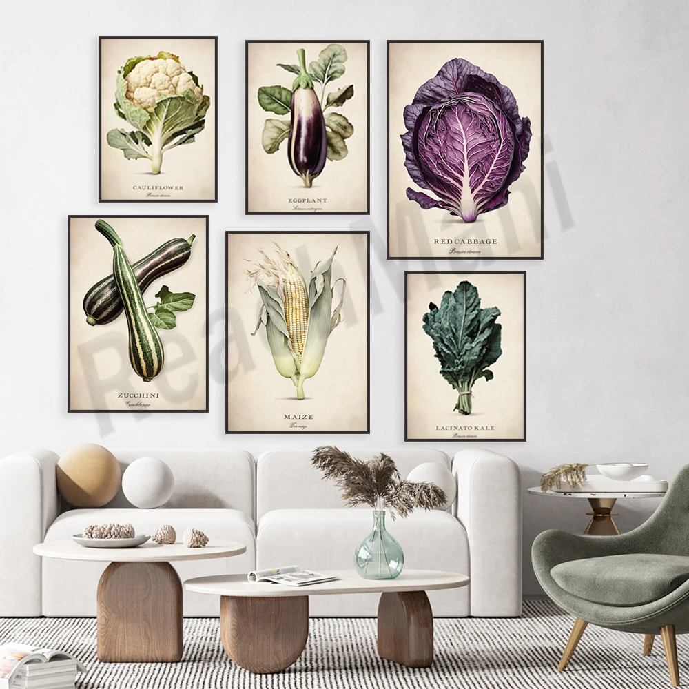 Vegetable art, cabbage, zucchini, onion, fennel, red cabbage, okra, peas, cauliflower, corn, endive kitchen decoration poster