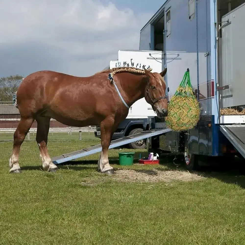2 قطعة/المجموعة جديد تغذية بطيئة القش صافي معلقة سعة كبيرة الحصان القش حقيبة 40 بوصة القش المغذية حقيبة الفروسية التبعي