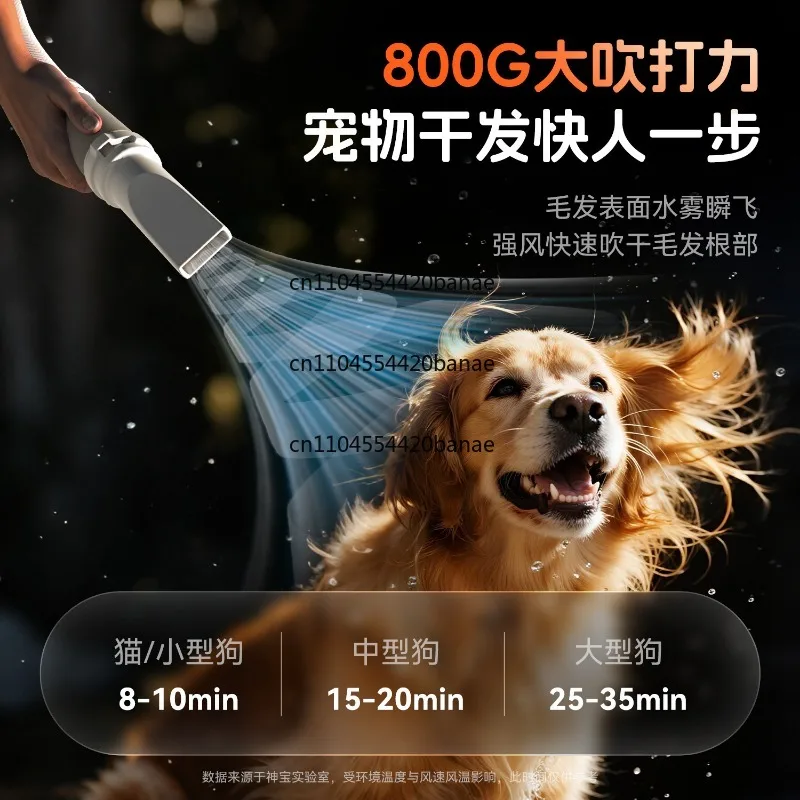 Water dryer for pet dogs Large dog bathing hair dryer High power silent hair dryer