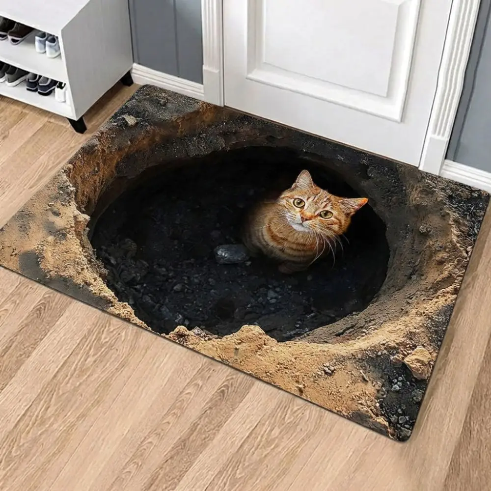 3D Flat Optical Illusion Doormat Water-absorbing Absorbent Bathroom Carpet Multiple Sizes Non-slip Bedroom Door Rug Home Decor
