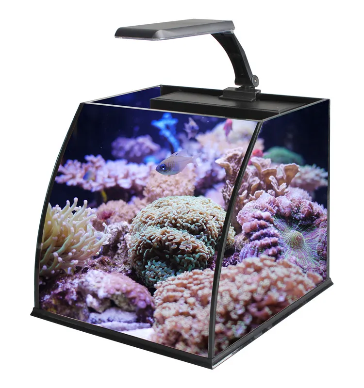 Ultra Clear Glass Mini Salt Water Marine Aquarium Fish Tank For Marine