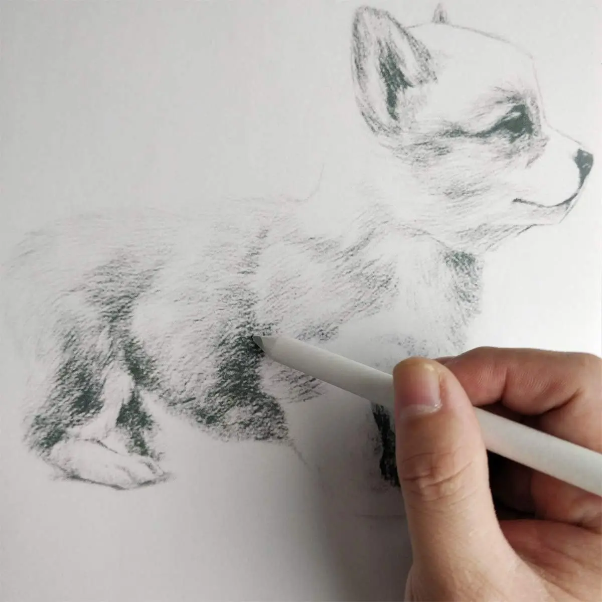 لوازم فنية أداة رسم جذع ورق الأرز رسم مزدوج الرأس لطخة عصا مزج قلم رسم أبيض رسم قلم رصاص