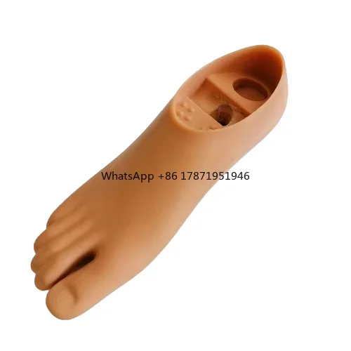 

Single axis foot,Artificial limbs foot,Prosthetic foot