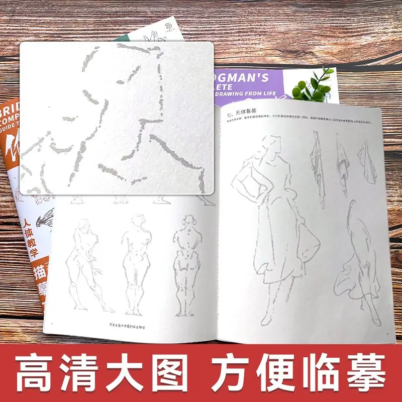 Berryman's Teaching Copy of The Human Body Tracing Book Set mit 4 Büchern, dynamische Skala, Kopf- und Halsstruktur, Skizze für den menschlichen Körper