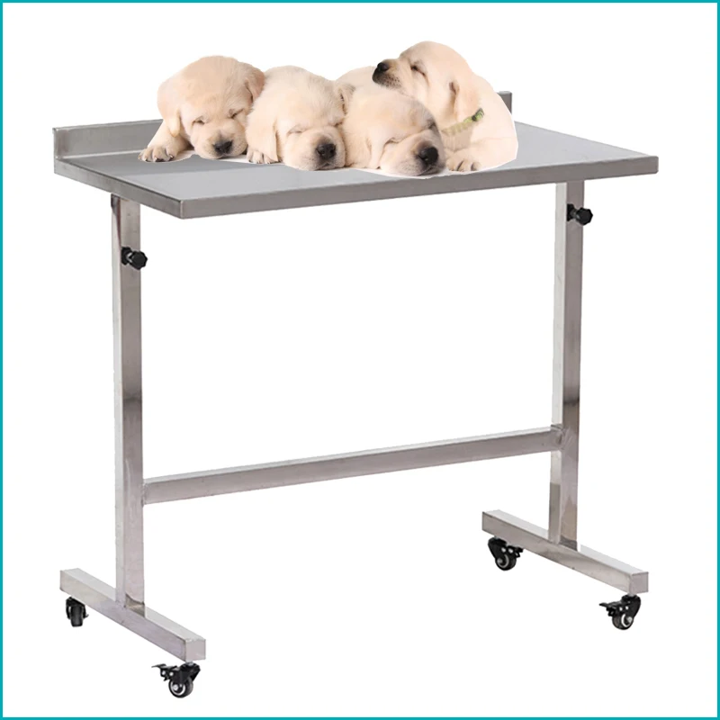 

Medical Instrument table stainless steel instrument trolley vet operating table pet bed for surgery veterinary