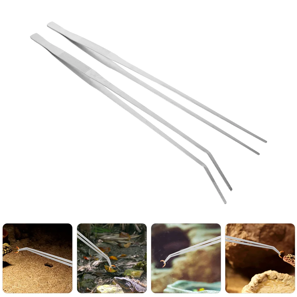 

2 Pcs Tool Pet Feeding Tongs Fish Tank Accessories Stainless Steel Reptile Clip