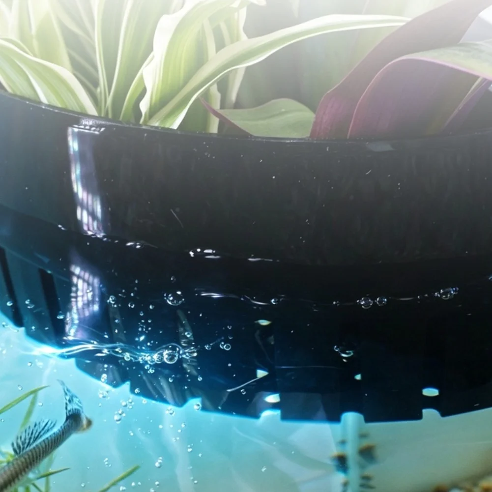 For Maximizing Tank Space Transparent Aquarium Corner Plant Pot Transparent Corner Plant Pots Space Saving Design