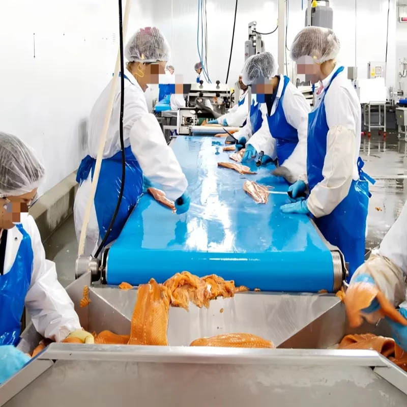 Automatic Salmon Fish Processing Line Customized Seafood Fillet Production Machine Industrial Processing System