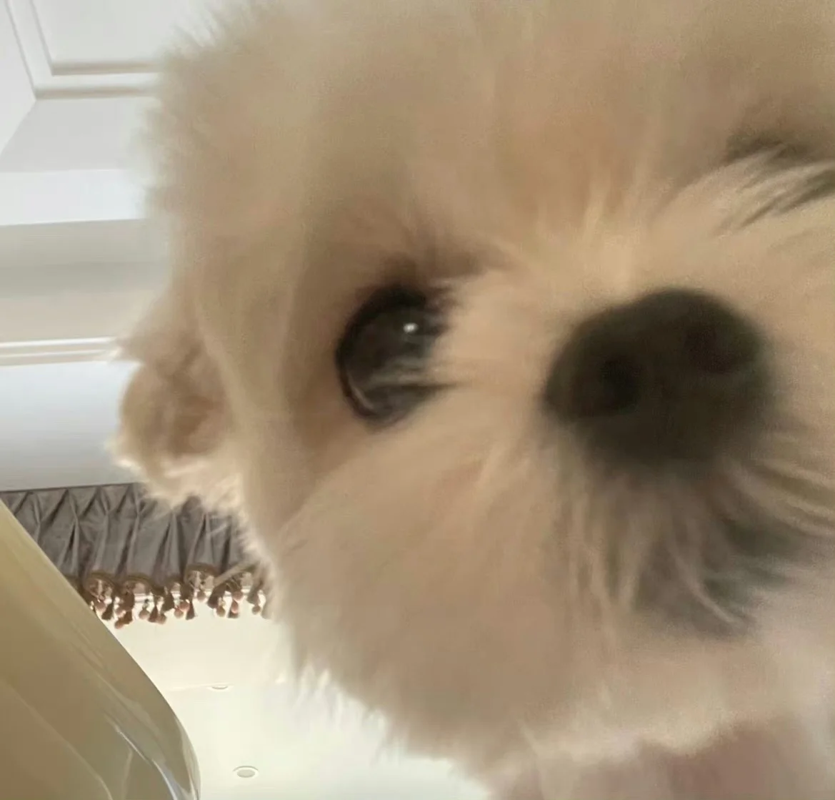 

for Wltoys K969 K979 K989 K999 P929 P939 1/28 Rc Car Parts 4Pcs K989-50 K989-51 Front & Rear Car Shell Column