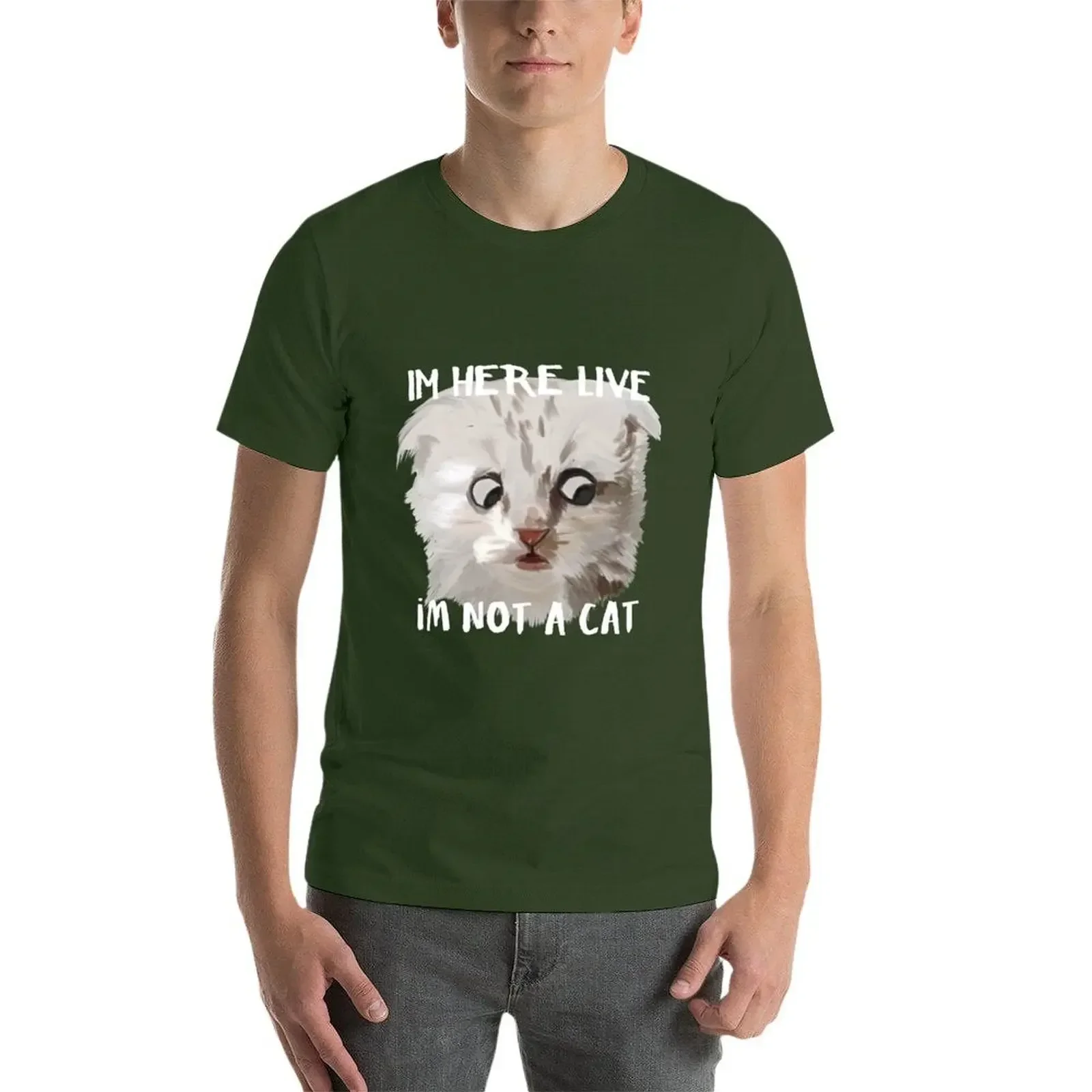 im here live im not a cat painting T-shirt aesthetic clothes summer tops oversized for a boy heavy weight t shirts for men