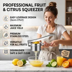 Kitchen Multifunctional Tool Stainless Steel Manual Juicer For Fruits And Vegetables Vegetable Filling Squeezer Simple Operation