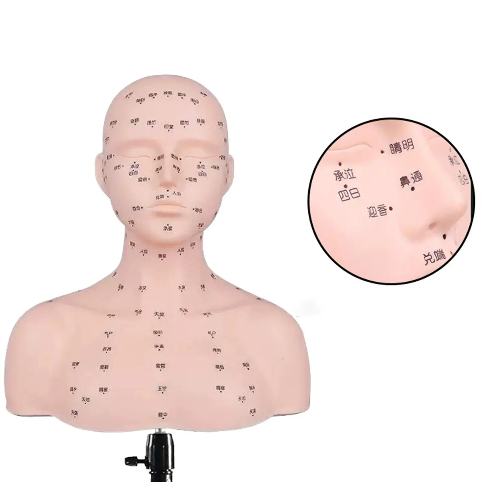 

Mannequin Head Multipurpose Acupoint Massage for SPA Facial
