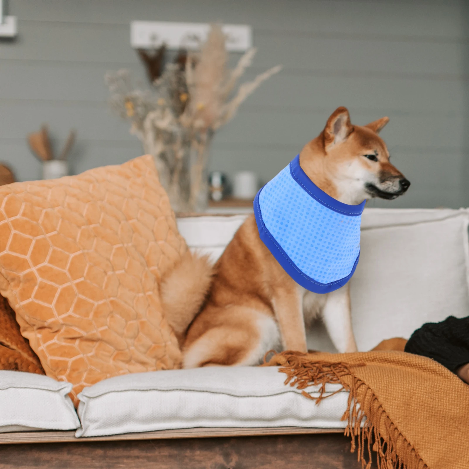 

Accessories Cold Scarf Puppy Pet Collar Decor Dog Bandana Blue Summer Neckerchief