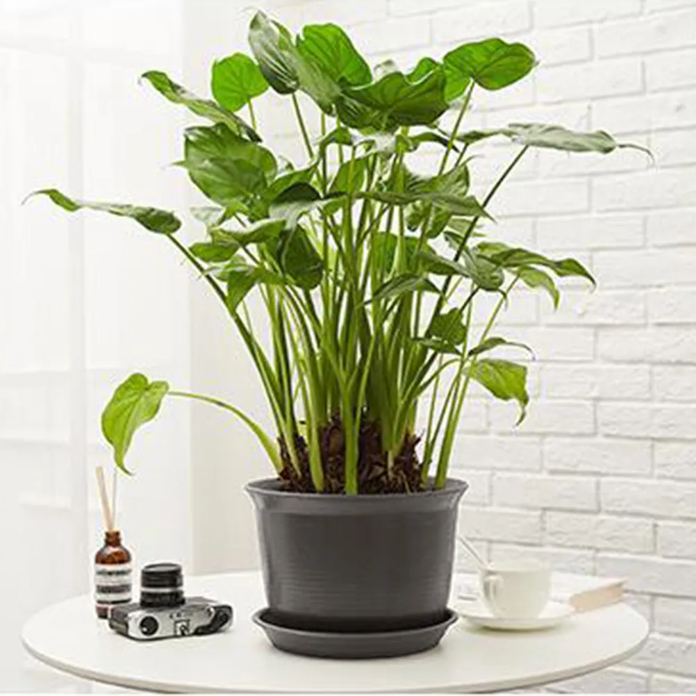 1Pcs Plastic Flower Pot Gray Black Resin Round Simple Flower Basket Decorative Storage Holder Tray for Bonsai Cosmetics