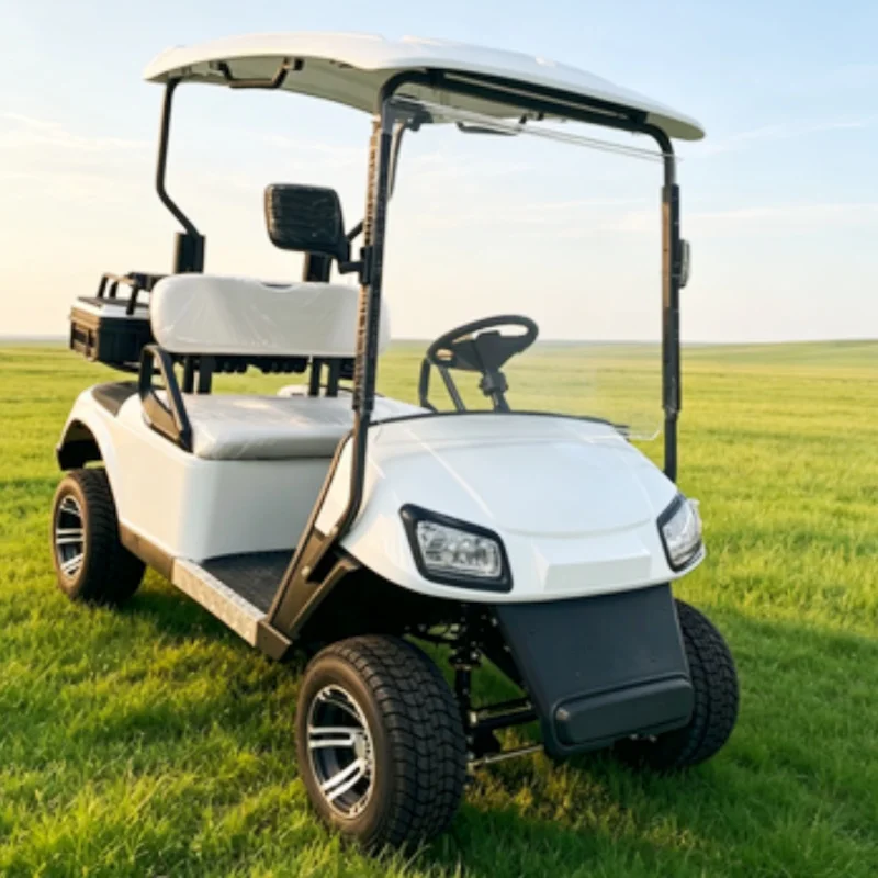 2-Seater Electric Golf Cart Lithium Battery Hunting Off-Road Vehicle Ball Washer Golf Bag Rack And Basket Sand Bucket X2