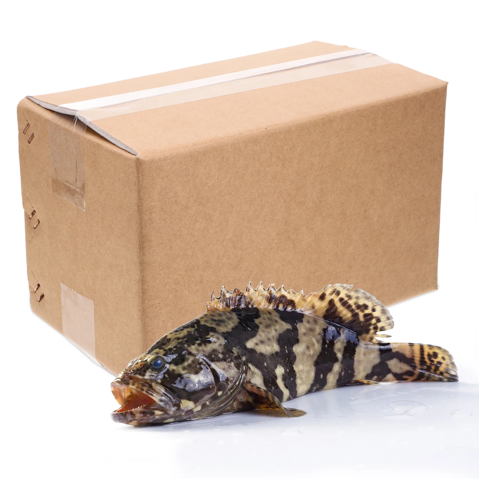 Insulated Transport Box Moving Kits for Packing Aluminum Foil Cold Shipping Boxes