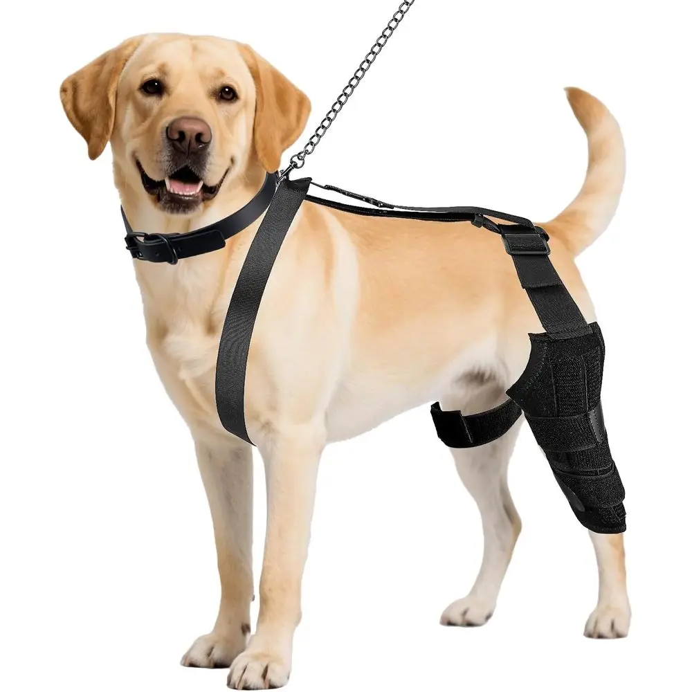 

Adjustable Dog Knee Support for ACL Injury, Leg Brace for Dogs with Collar & Leash, Joint Stability & Pain Relief