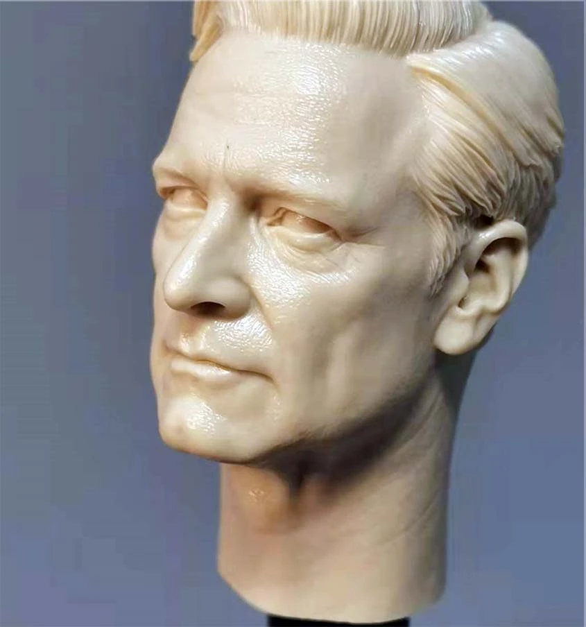 1/6 Die-cast Resin Model Assembly Kit (Colin) Head Sculpture Model Toy (55mm) Unpainted Free Delivery