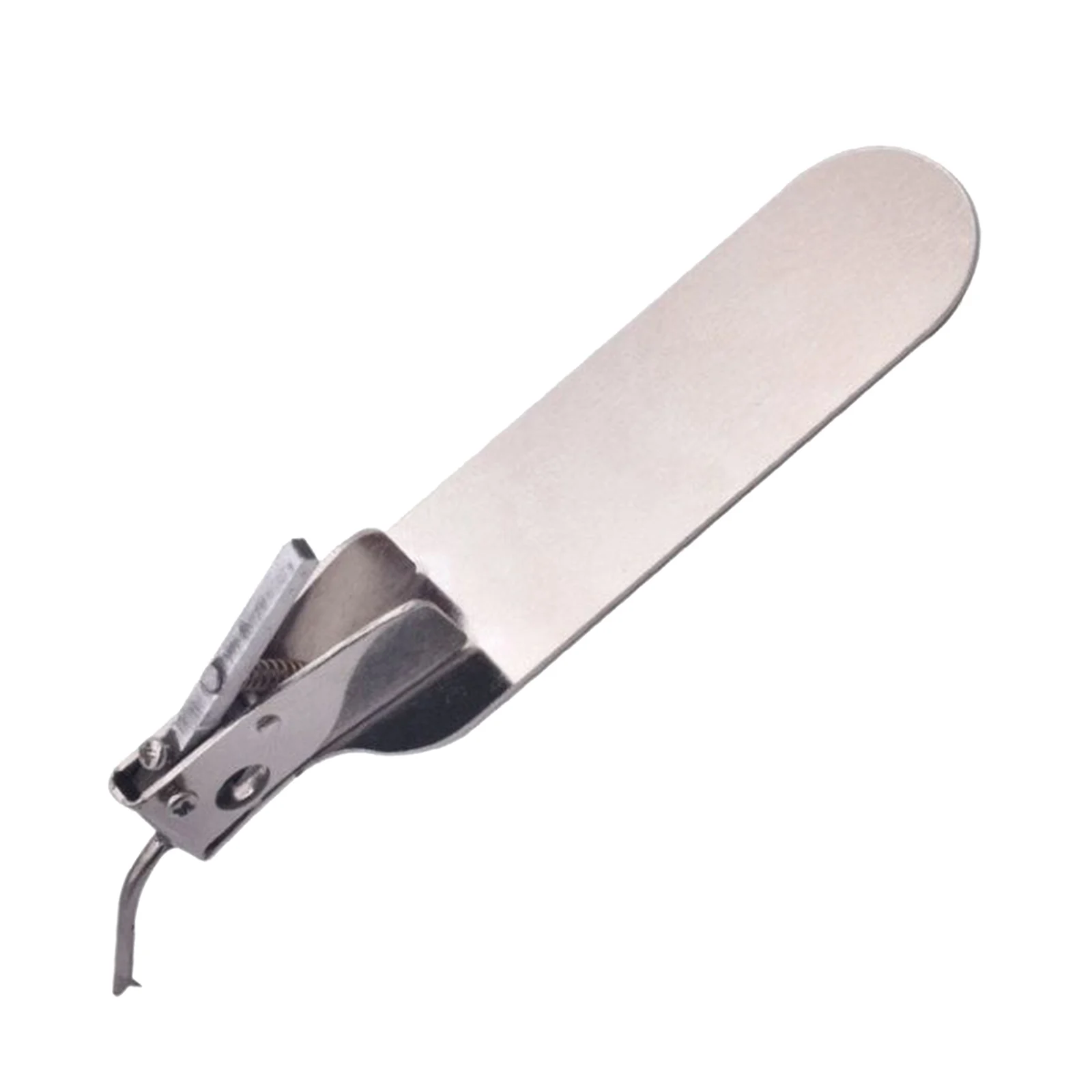 Metal Worm Moving Grafting Tool for Beekeeping Queen Rearing Supplies with Spare Tongue Feeding Accessory Kit