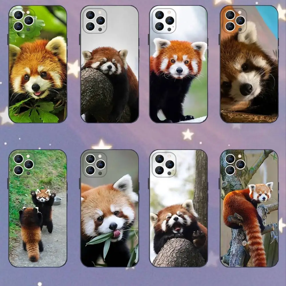 

Cute Red panda Animal Phone Case For iPhone 16,15,14,13,12,11,Mini,Pro,SE,MAX White Matte Shockproof Cover