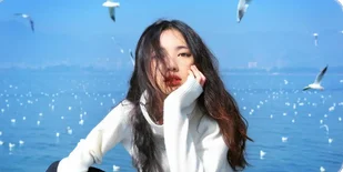 Everything You Need to Know About Spring Interface and Its Applications