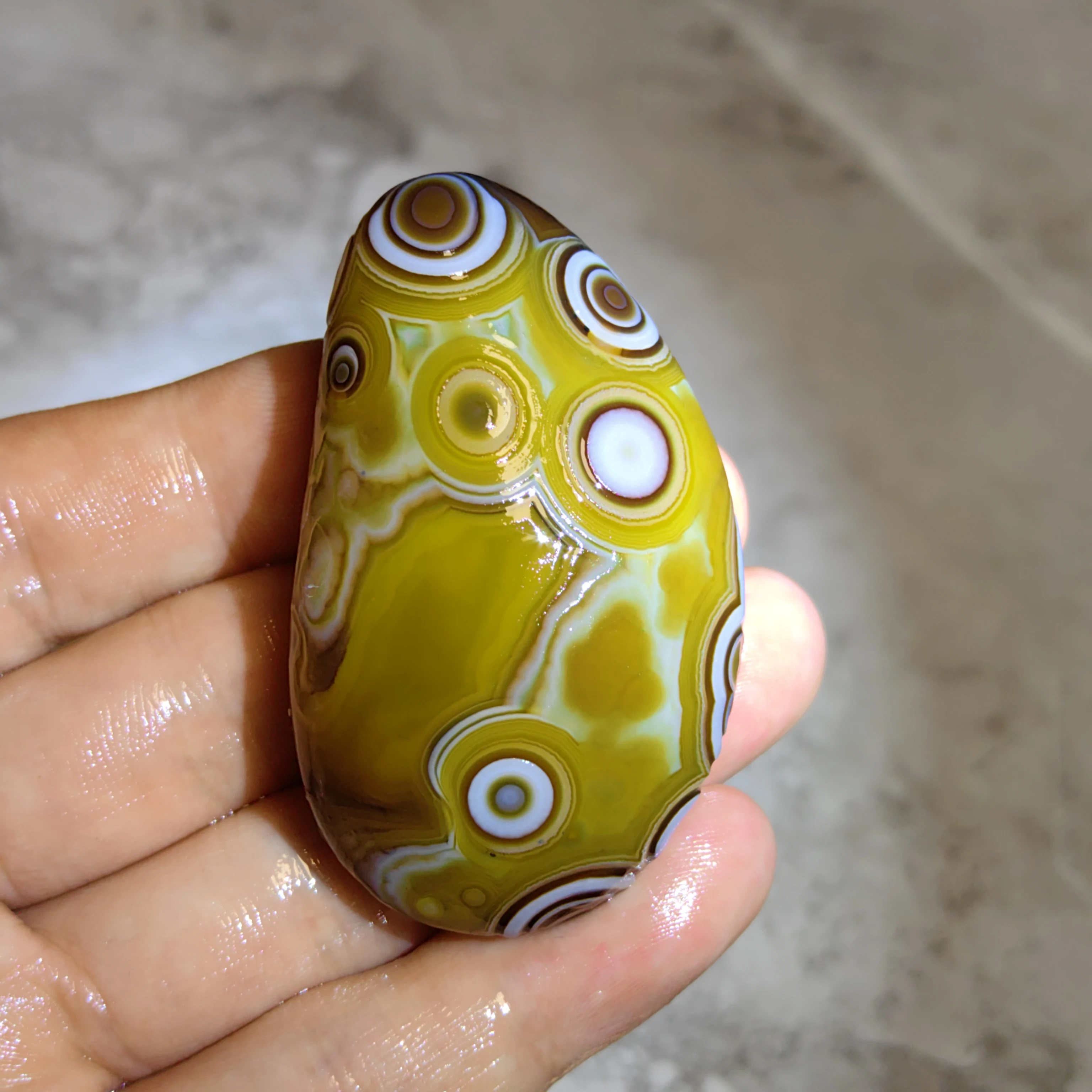 Rare Gobi  Origin Agate Wishing Stone Multi-Layered Eye Design, Smooth Finish for Altar Display or Personal Collection