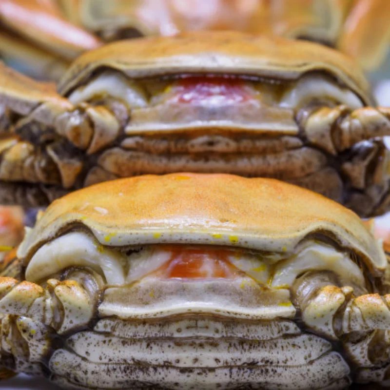 

Металлический держатель передней и задней оси 5334 для 1/10 Trxs E-MAXX T-MAXX Revo 3.3 Slayer Summit 4x4, детали для обновления радиоуправляемого автомобиля, аксессуары