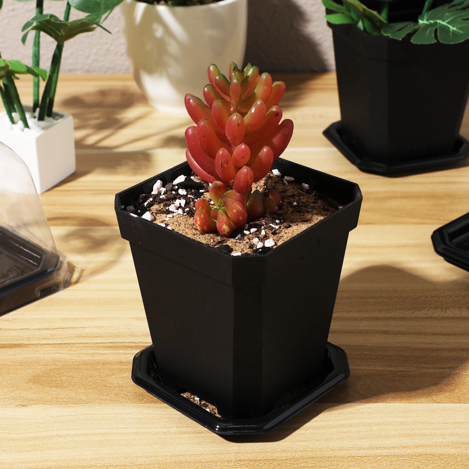 

5 pcs Square Seedling Pots Small Thickened Nursery Garden Flowerpot Humidity Domes For Indoor Outdoor Plants Drainage Peat