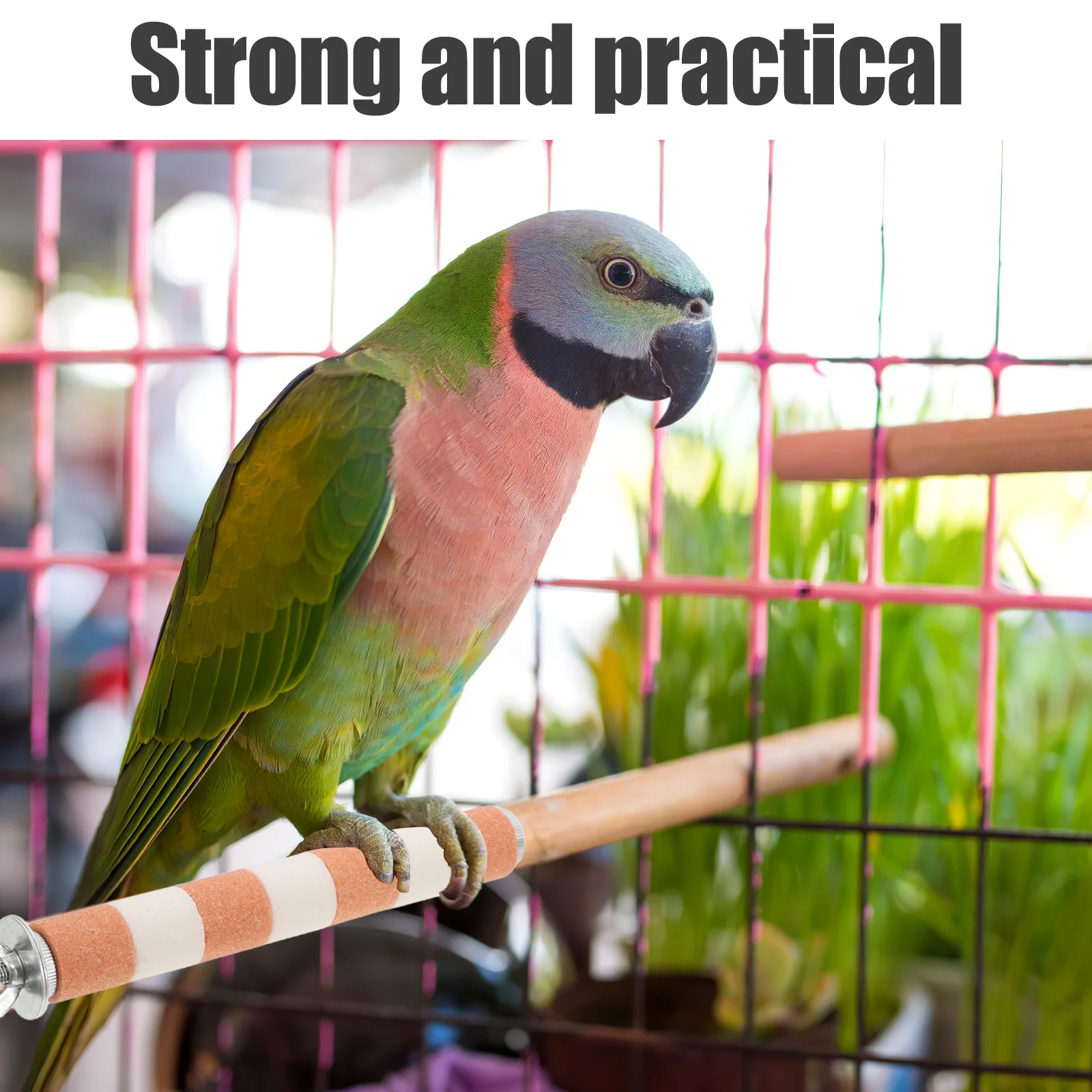 

4pcs Parrot Grinding Perch Bird Cage Standing Rod Nail Claw Beak Sharpening Chew For Cockatiels Cockatoos Lorikeet Conure