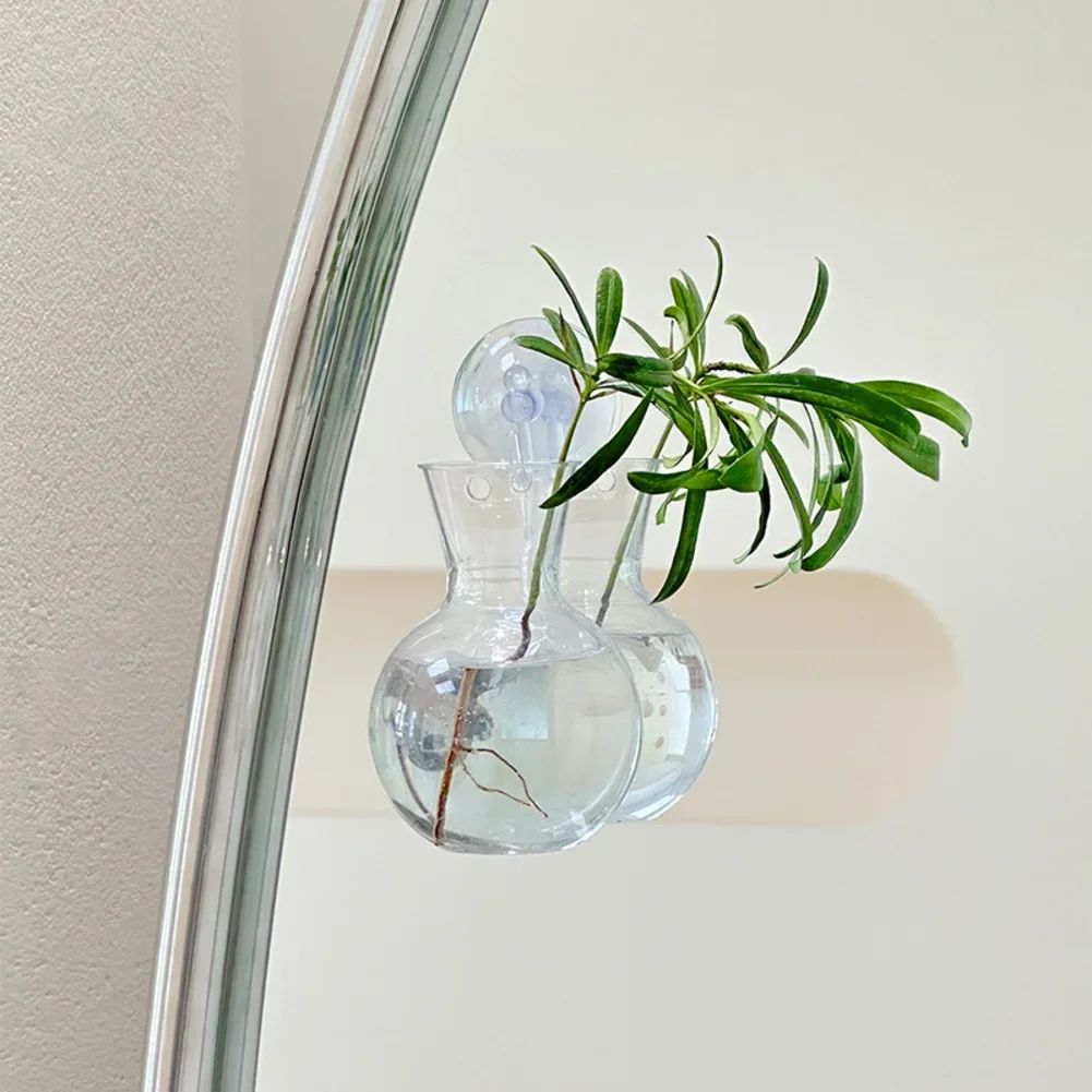 Water Propagation Bulb Vase with Suction Cups and Hooks for Vertical Window Display and Root Development Tracking of Cuttings