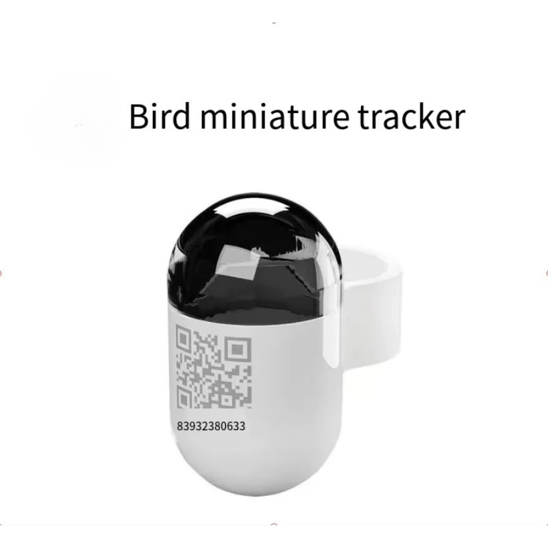 Real-time Global System Locator for Pigeon Outdoor Flight Leg Straps and Circular Positioning