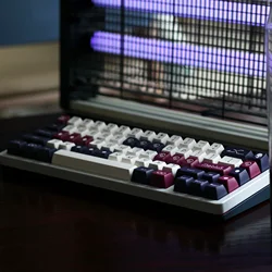 Domikey SA ABS Doubleshot Keycap Mobius SA Profile for MX Stem Keyboard poker 87 104 gh60 xd64 xd68 xd84 xd96 xd75 xd87