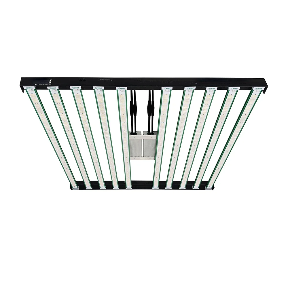 Custom Made 5*5Ft Dimmable Full Spectrum 1000w LED Grow Light