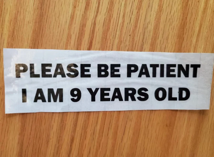 Please Be Patient, I am 9 Years Old. Funny Car Bumper Sticker, Meme sticker, car sticker, adulting, Funny Meme Bumper Sticker