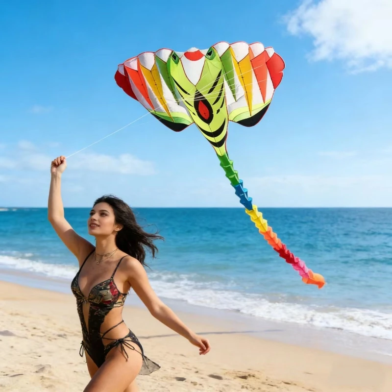600cm-fish-kite-professional-soft-kites-outdoor-toys-inflatable-fabric-ray-kites-paragliding-kites-sports-kite-steering-ikitefly