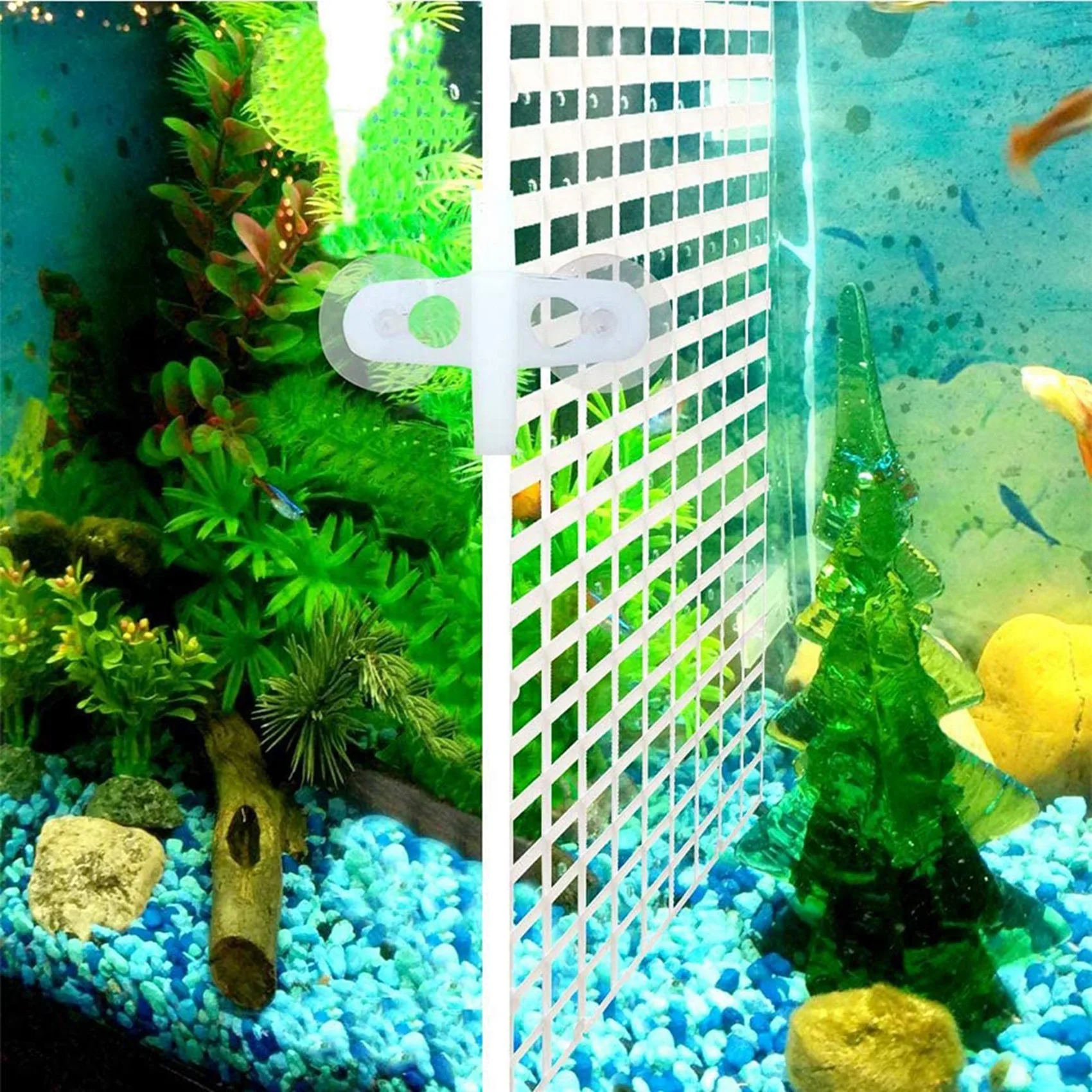 -A65I 10PCS Aquarium Divider Fish Tank Divider Filter Grids Separation Grid Tray Isolation Board Grid With 20 PCS Sucker Clips